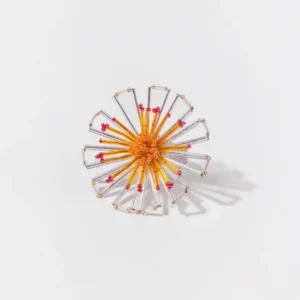 Cosmos