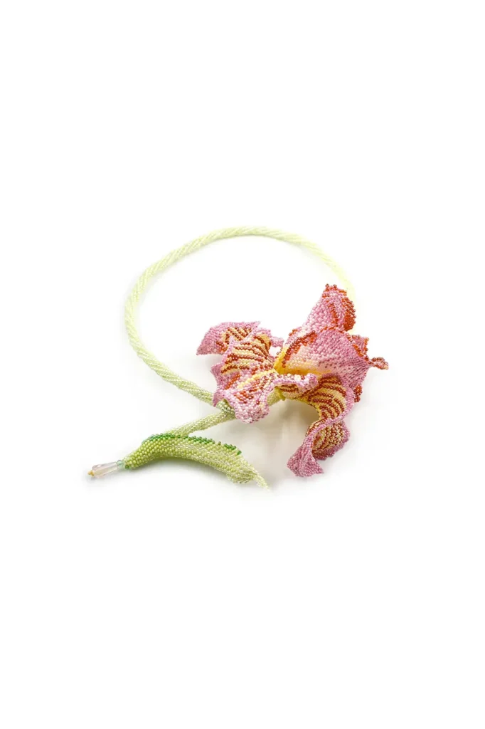 Iris