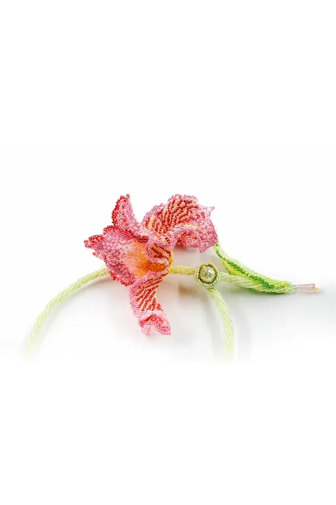 Iris