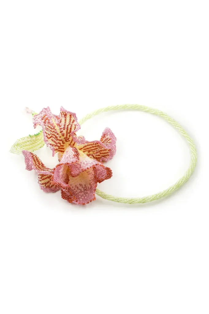 Iris