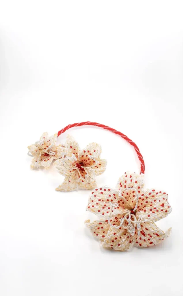 Lilium